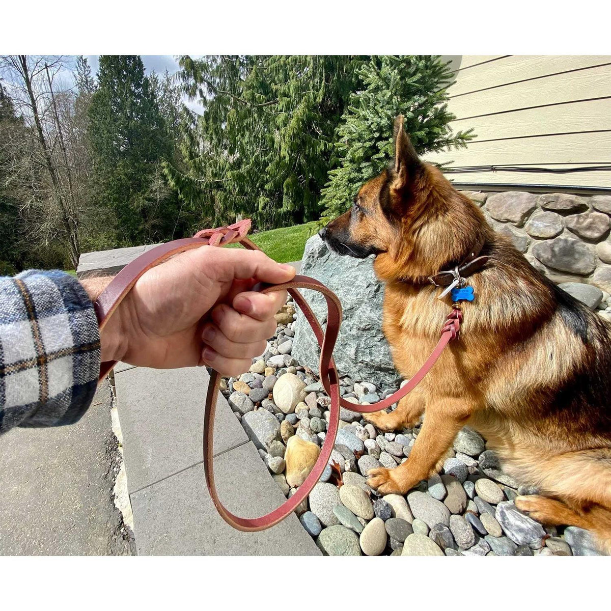 6 FT Braided Leather Dog Leash A1165