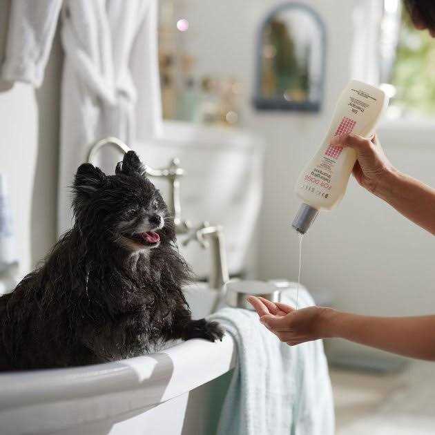 Dog Detangling Shampoo Q20504
