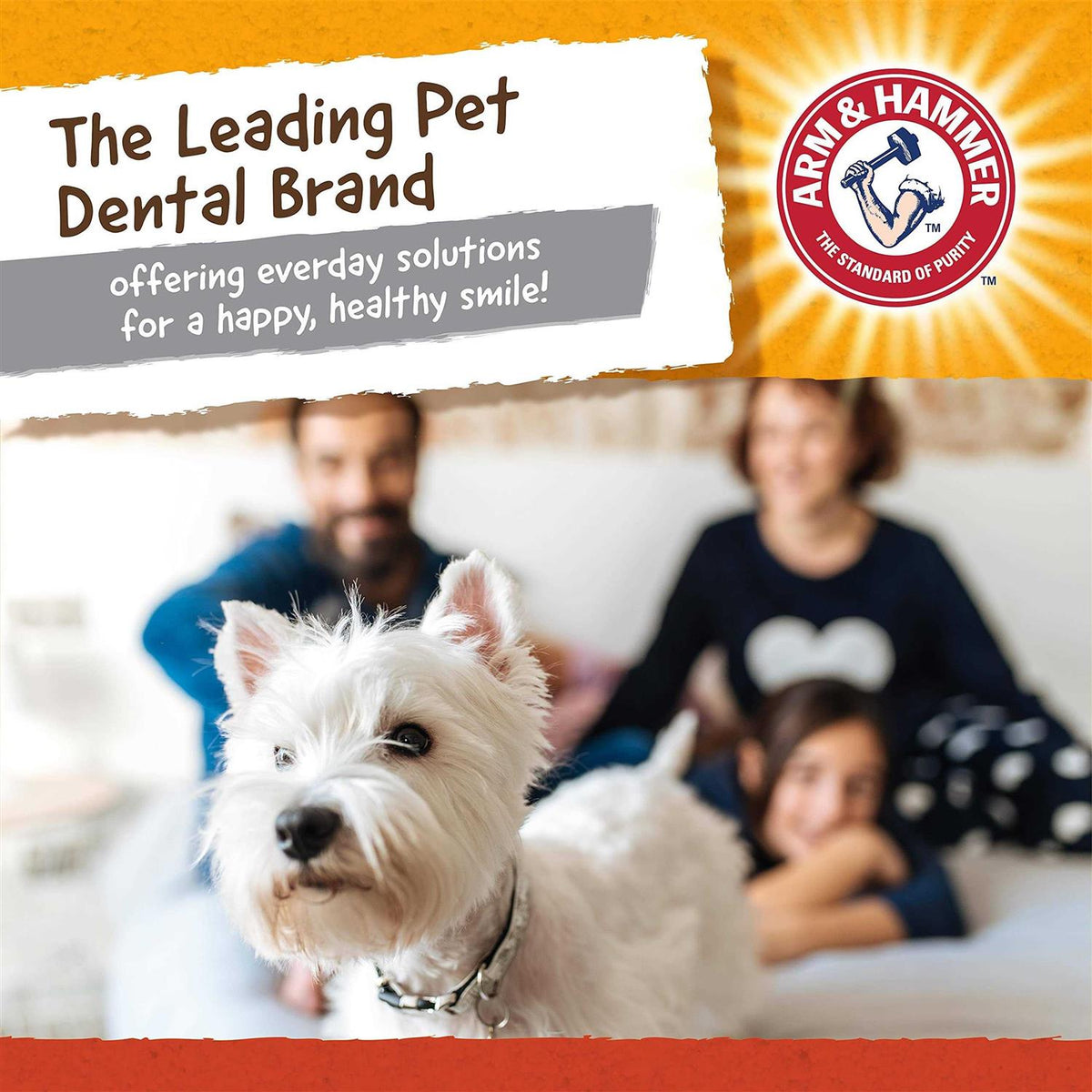 Gorilla Dental Dog Toy P810890