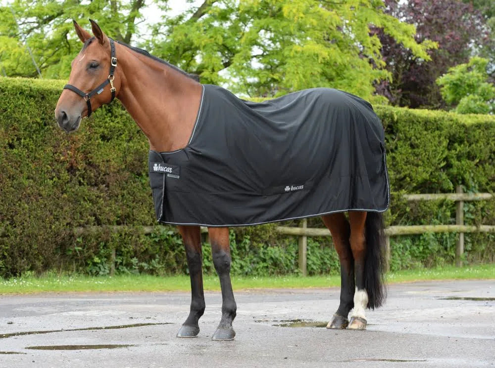 Black 170 Turnout Blanket Z402800