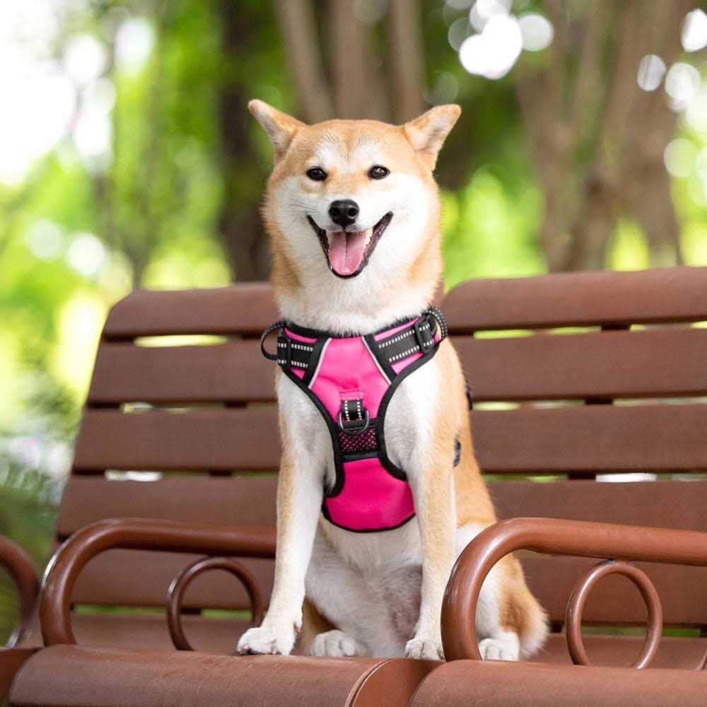 No Pull Reflective Dog Harness N853728