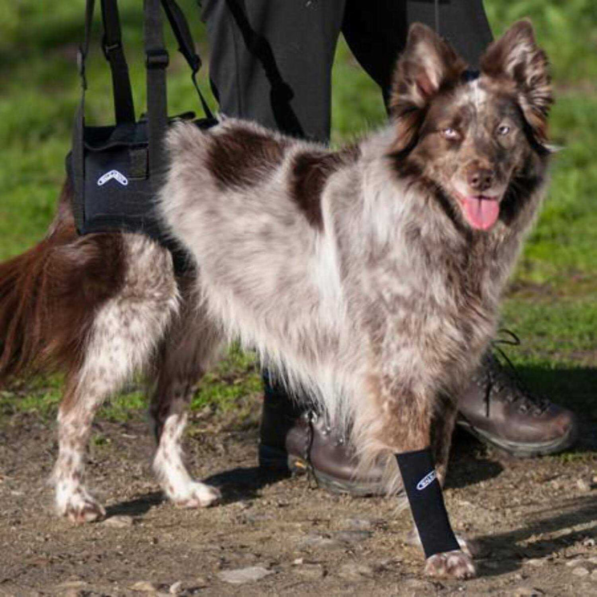 Support Harness U265140