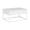 36 Inch Lift Top Storage Coffee Table V9025
