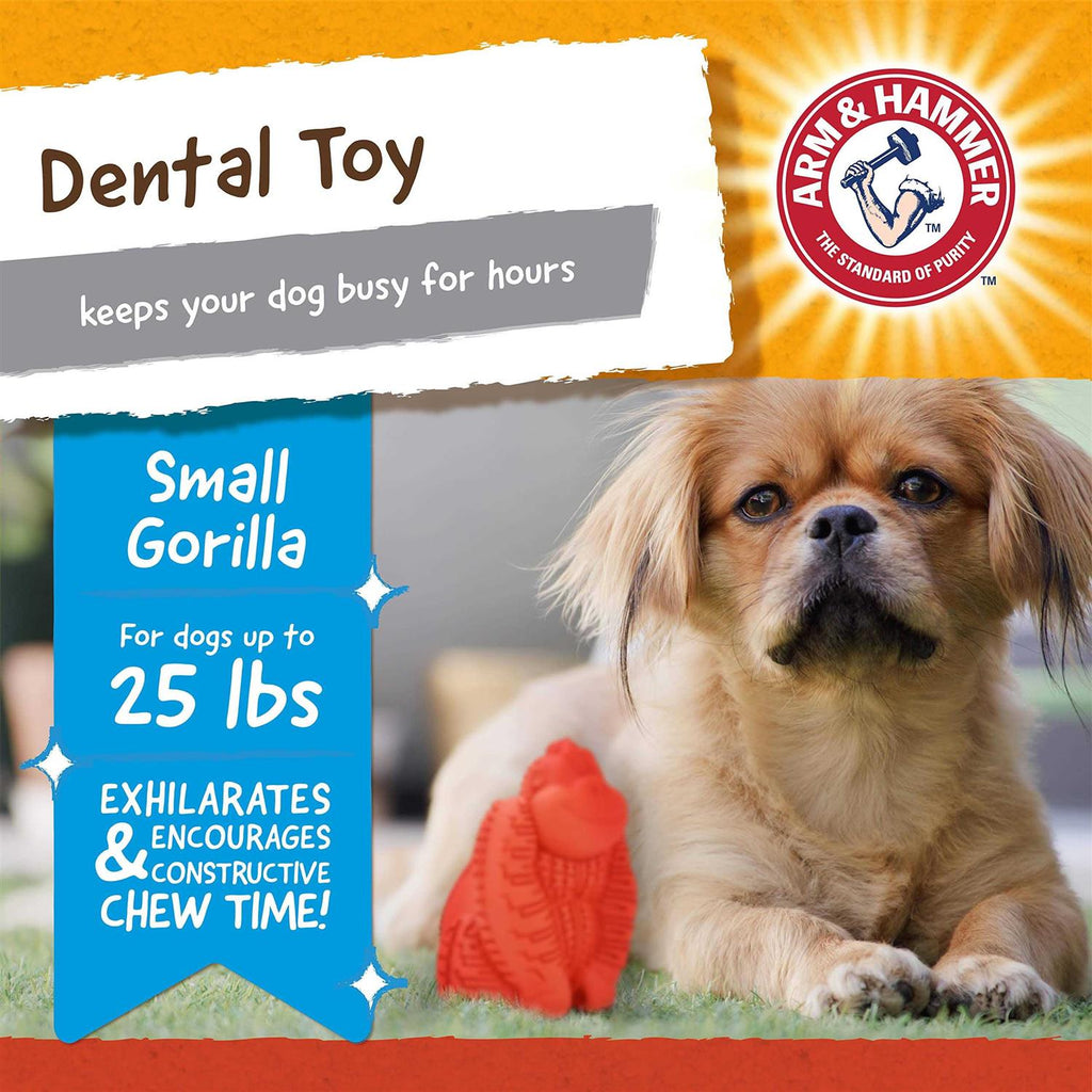 Gorilla Dental Dog Toy P810890