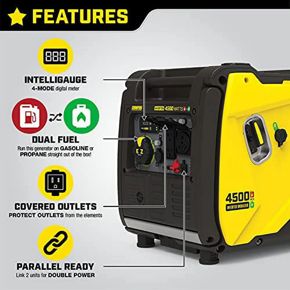 4500-Watt Dual Fuel Portable Inverter Generator V295