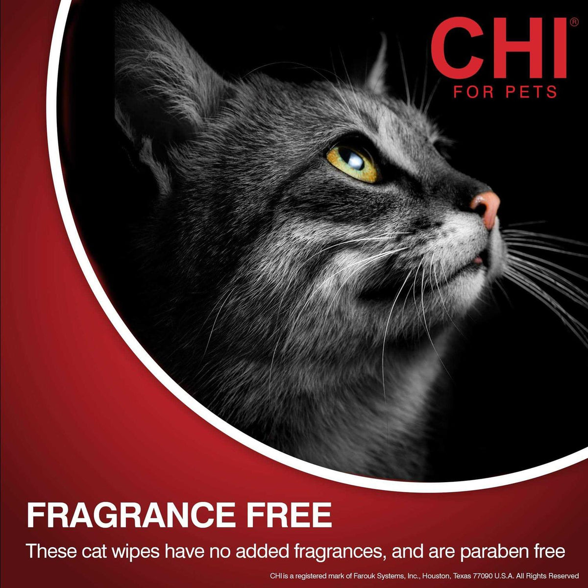 Cat Wipes K356723