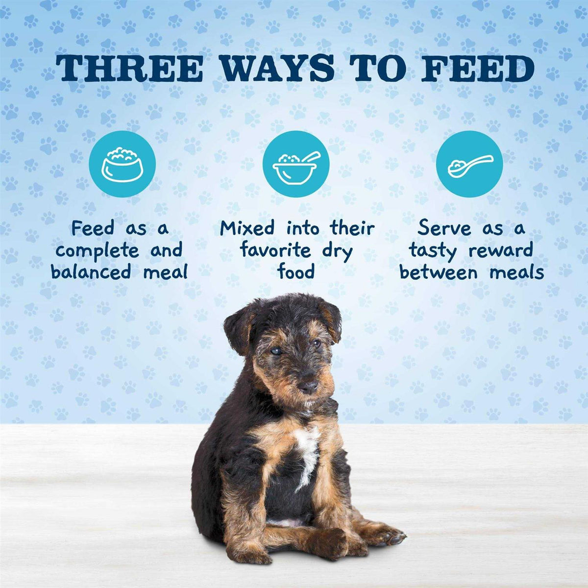 Natural Puppy Wet Dog Food Q69010
