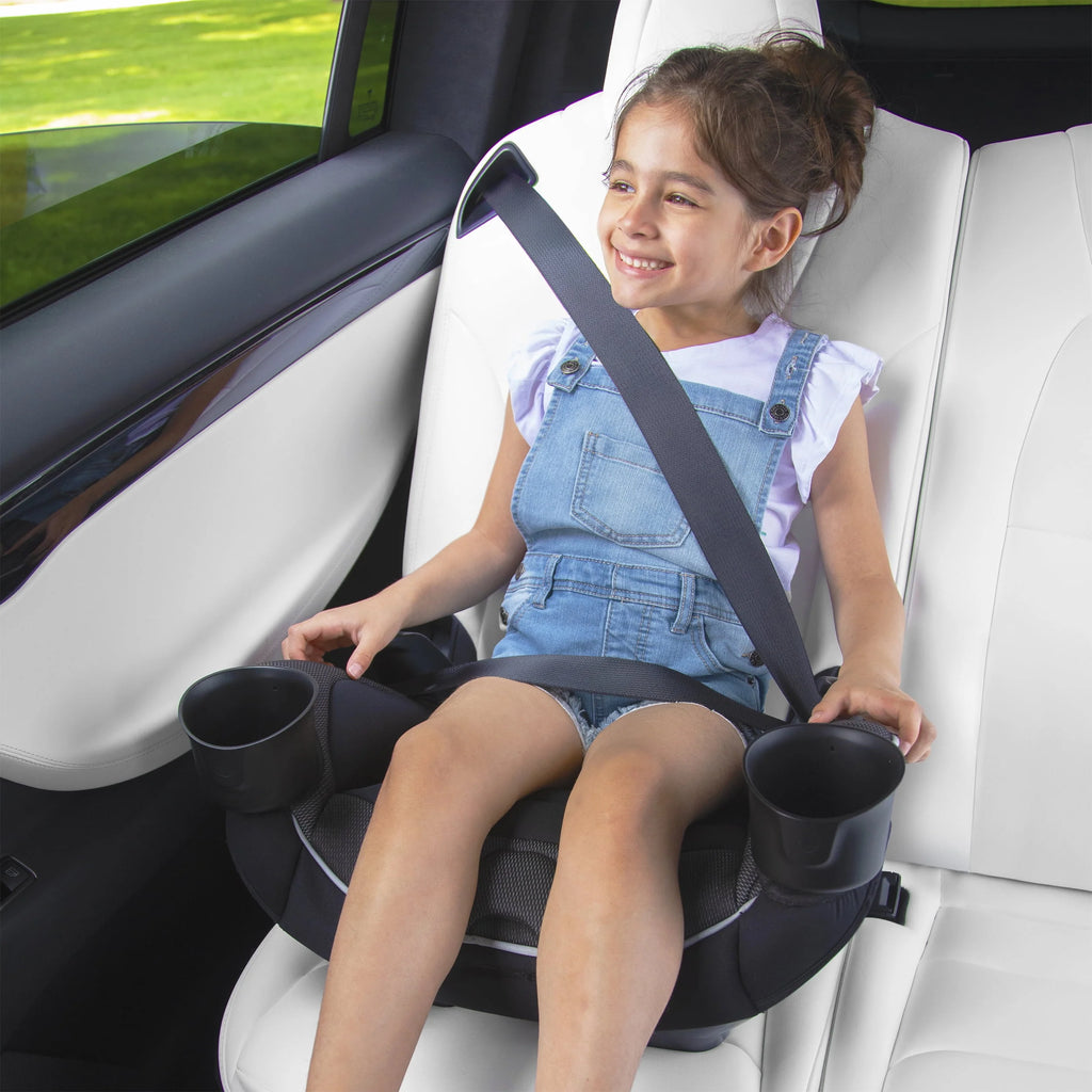 Convertible Car Seat L746