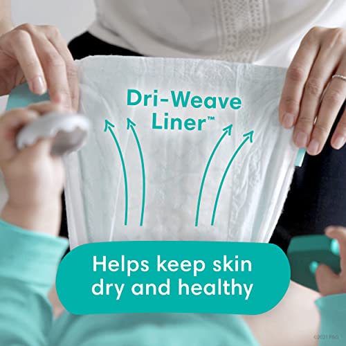 Size 1 120 Count Absorbent Disposable Diapers K31568