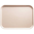 Rectangular Tray L490266
