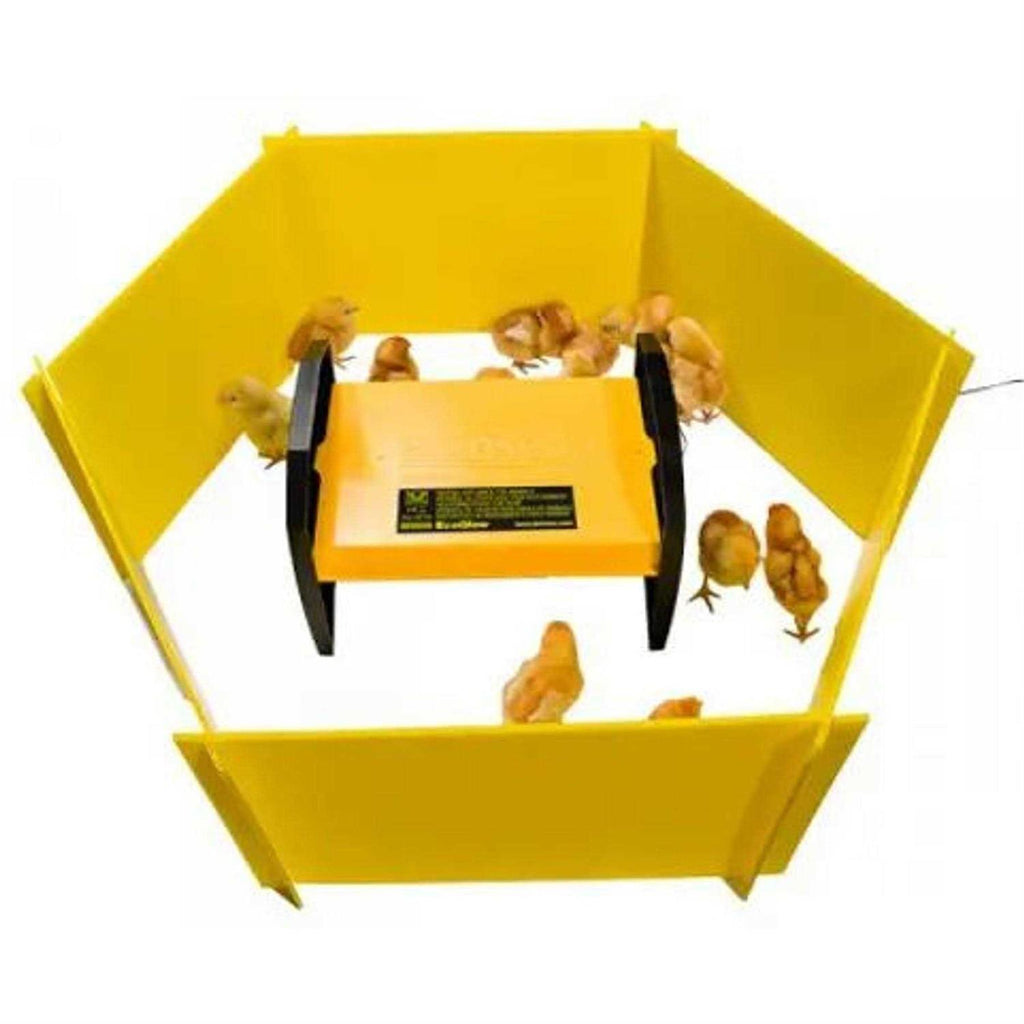 Chick Brooder Enclosure Panels P545