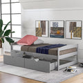 Twin Size Platform Bed with Two Drawers Grey Q497