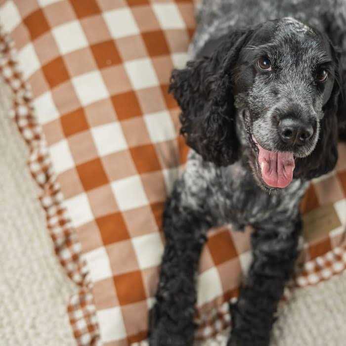 Brown Gingham Print Envelope Dog Bed S14139