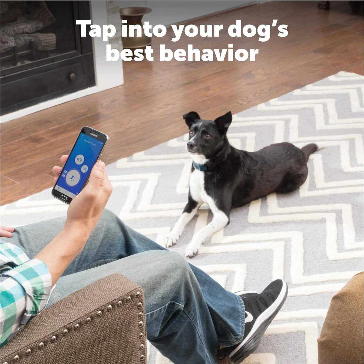Smart Dog Trainer S51622