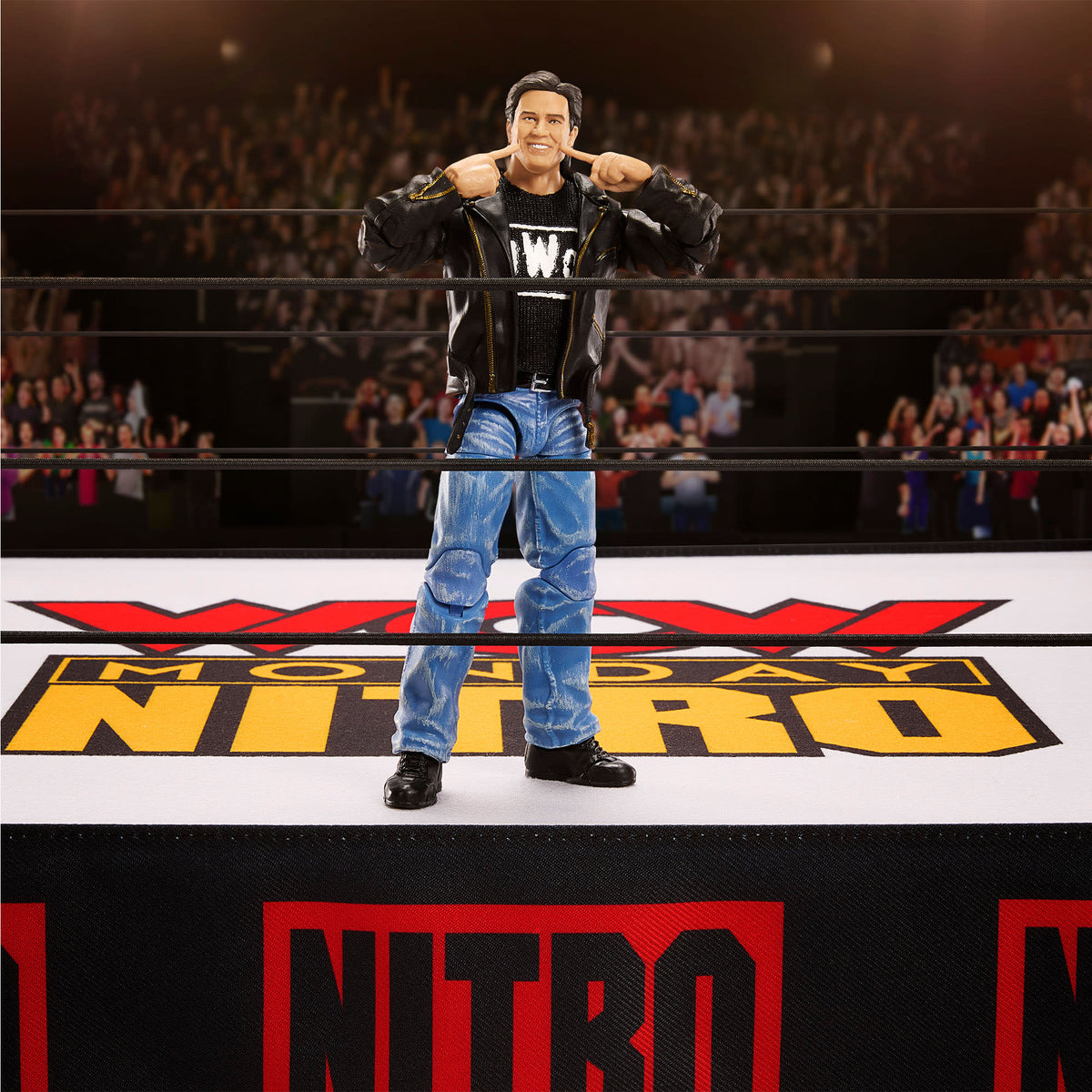 Wrestling Ring O110