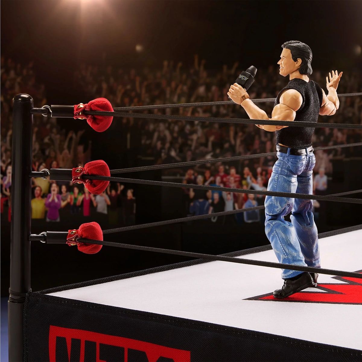 Wrestling Ring O110