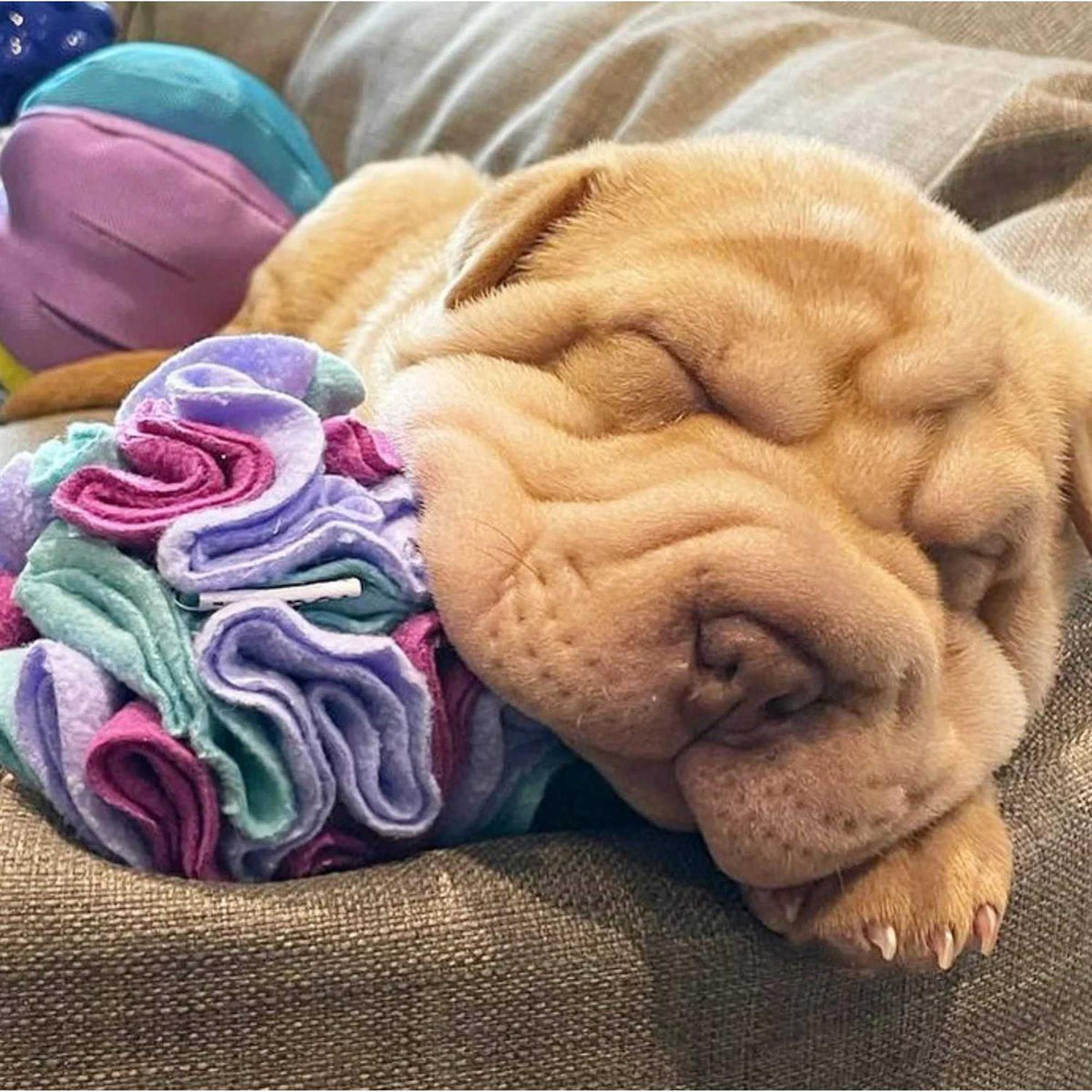 Snuffle Balls Dog Toy P97399