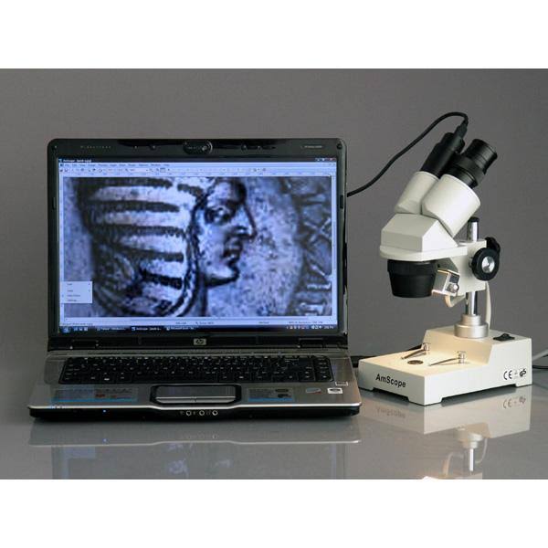 20X-40X-80X Stereo Microscope J95137