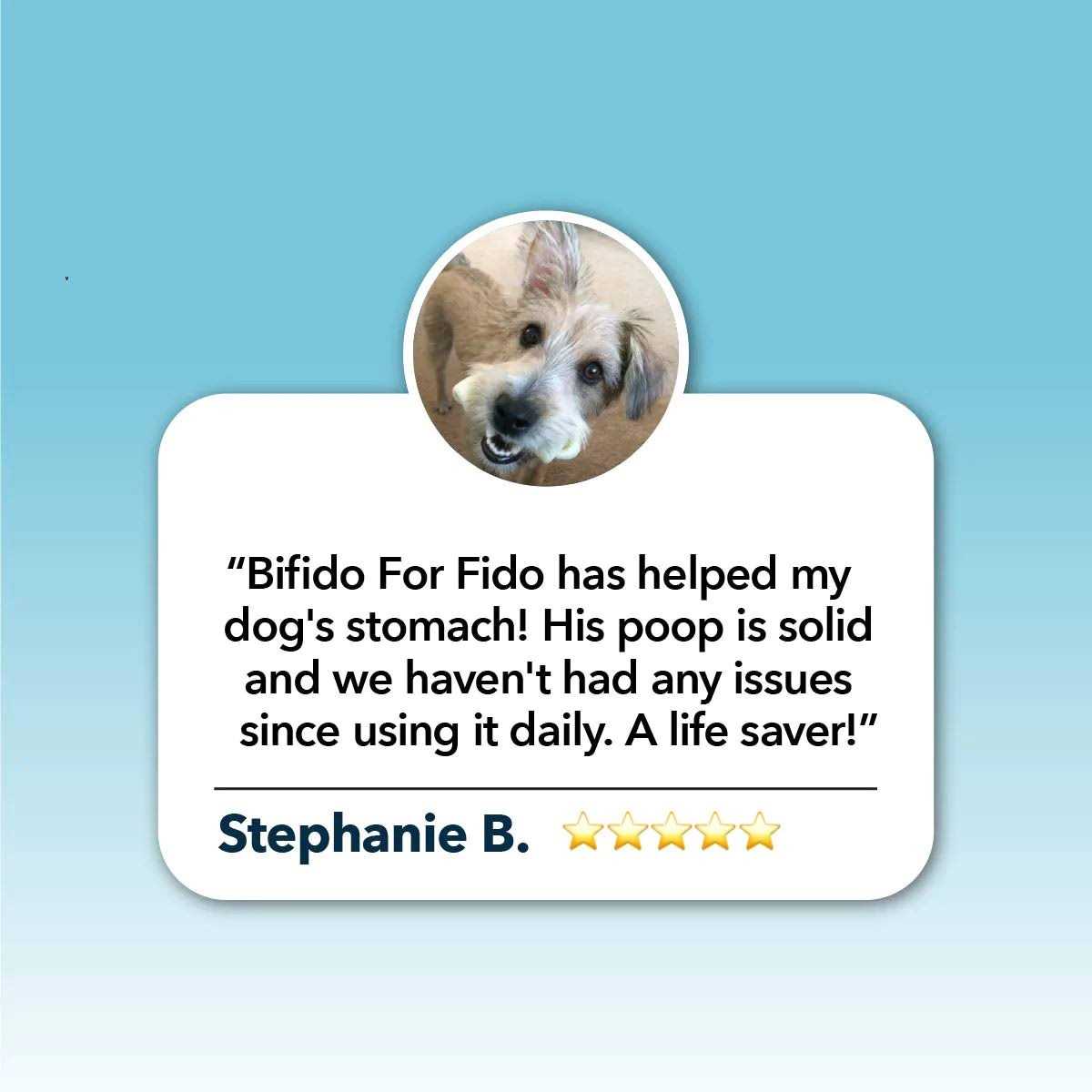 Pet Supplies D5755