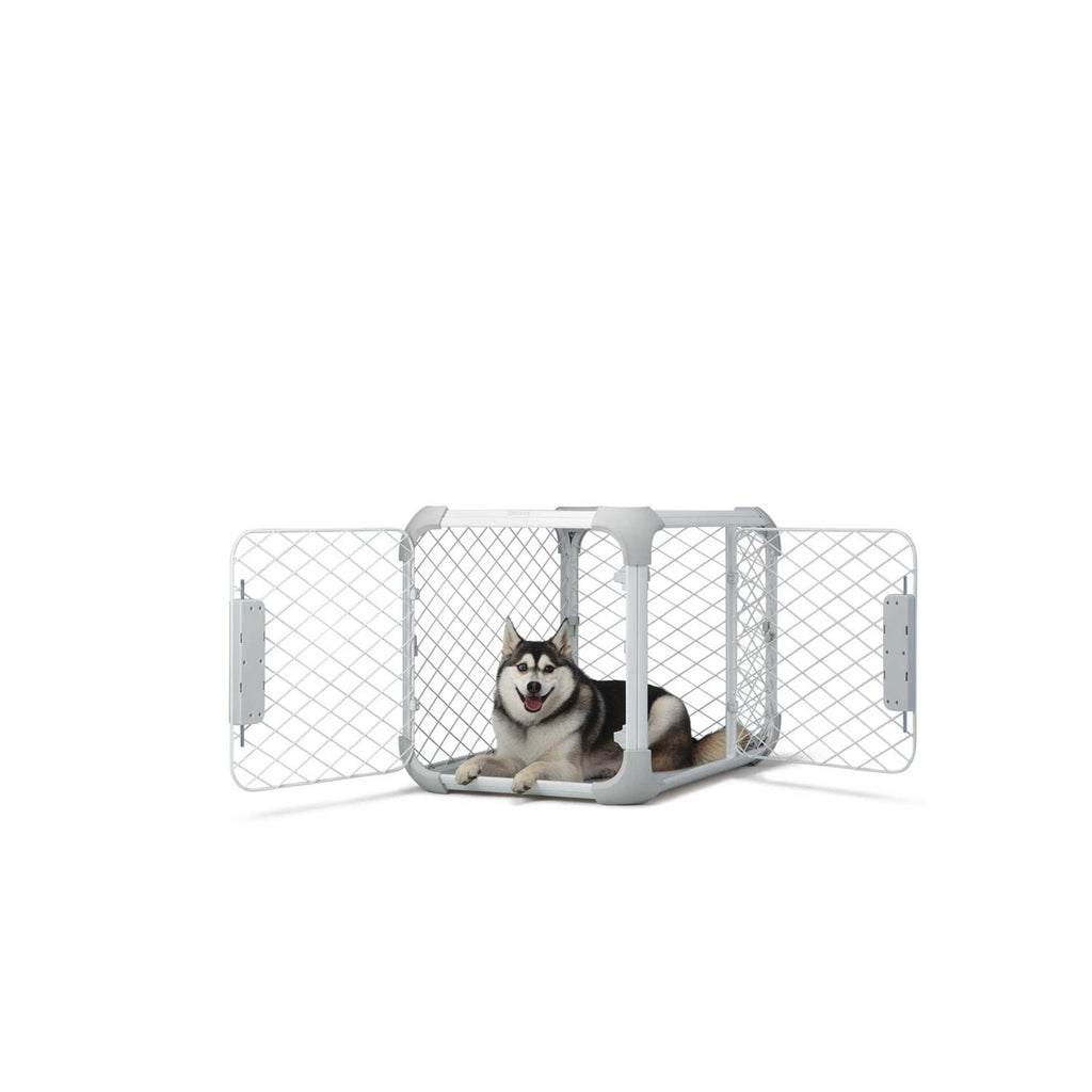 Dog Crate M503