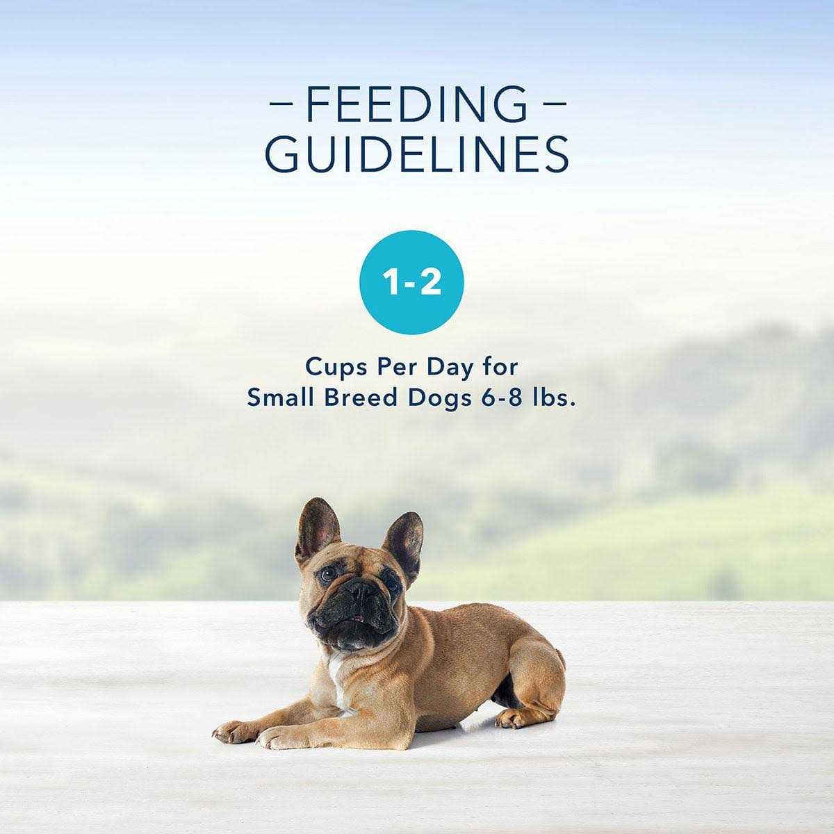 Grilled Chicken Flavor Pate Small Breed Dog Food N246667