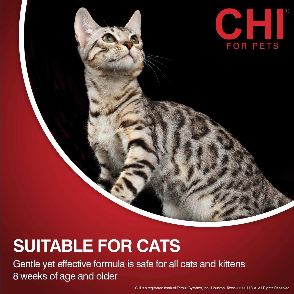 Cat Wipes K356723