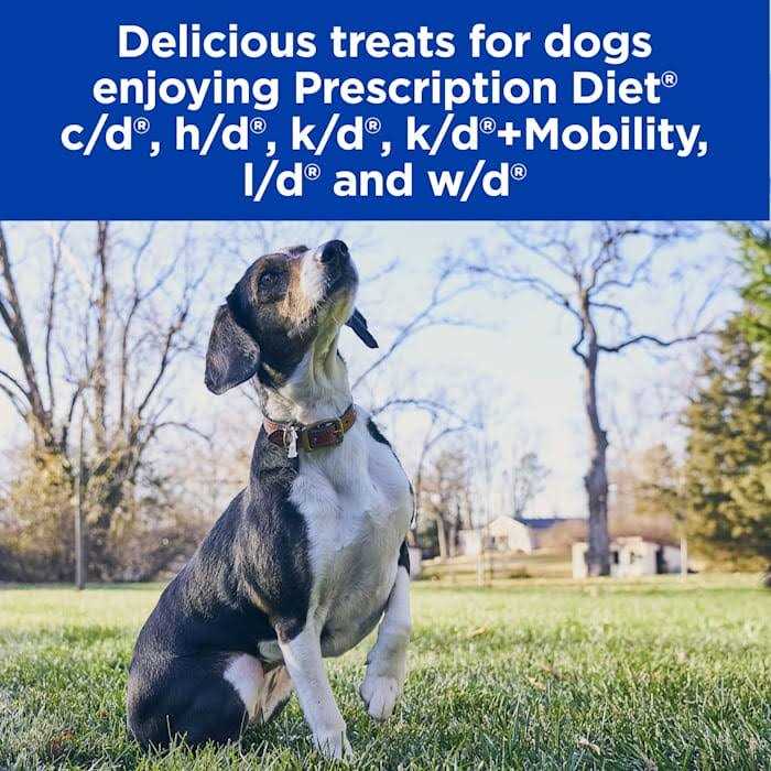 Soft Baked Dog Treats A608198
