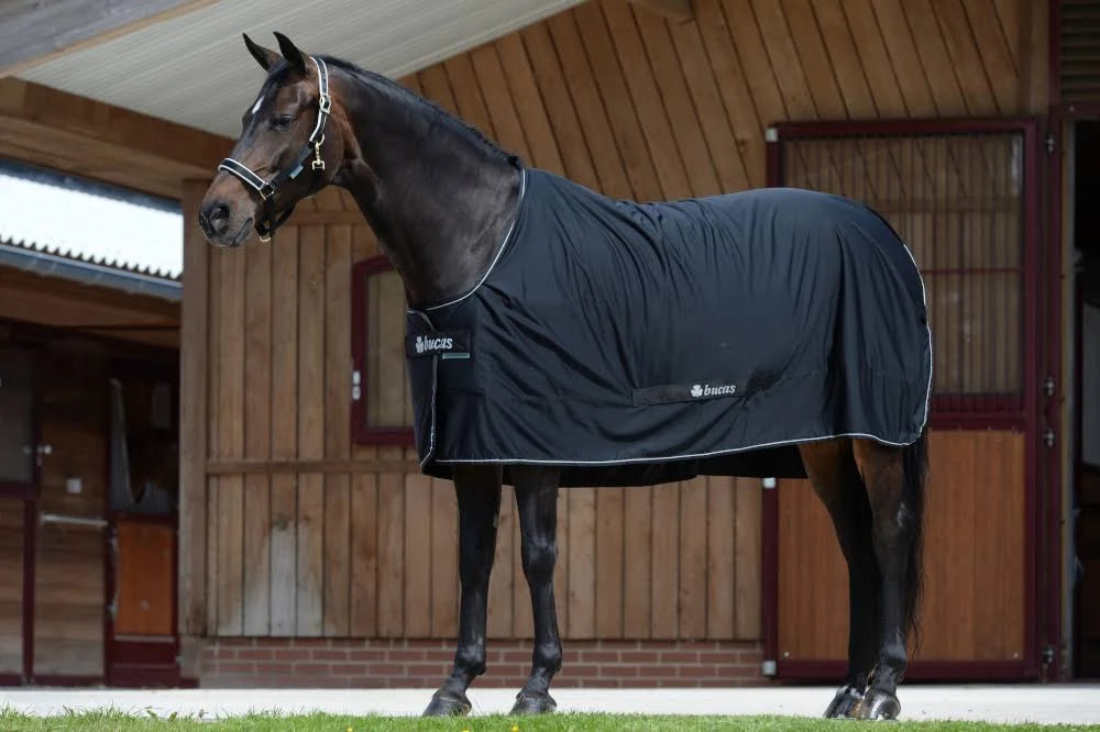 Black 170 Turnout Blanket Z402800