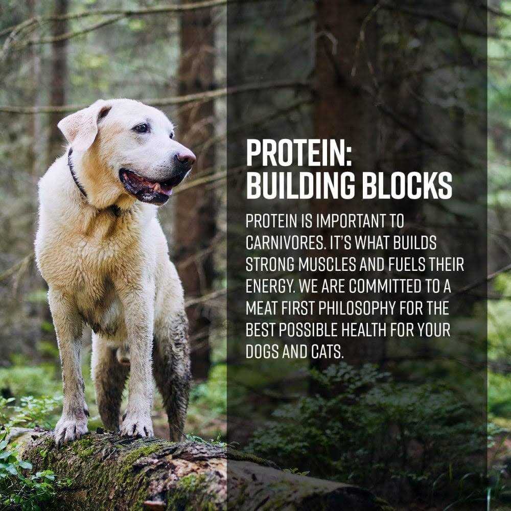 Limited Ingredient Ocean Recipe Dog Dry Food O56955
