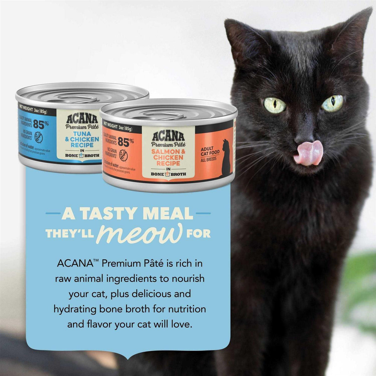 Wet Cat Food Variety Pack Y400