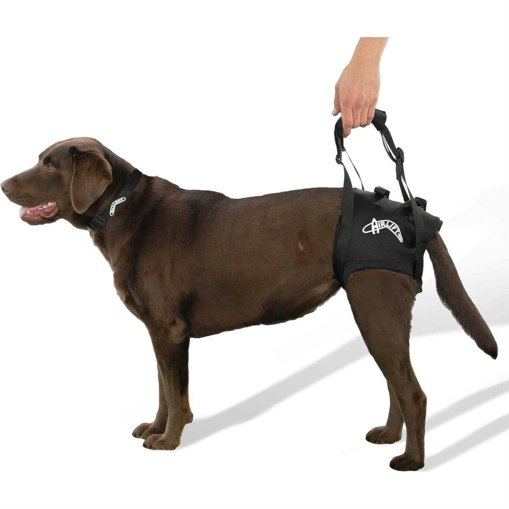 Support Harness U265140