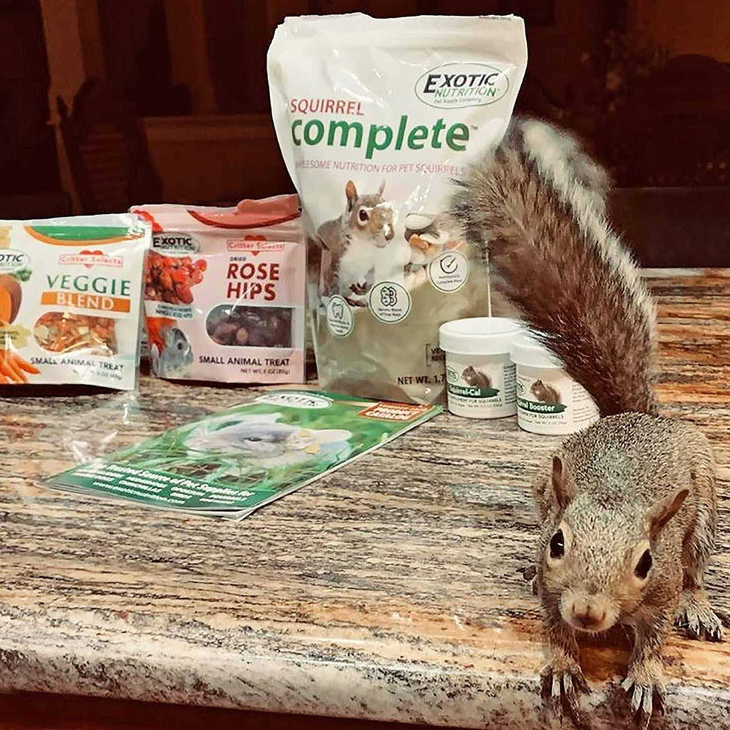 Squirrel Food Starter Package I57442