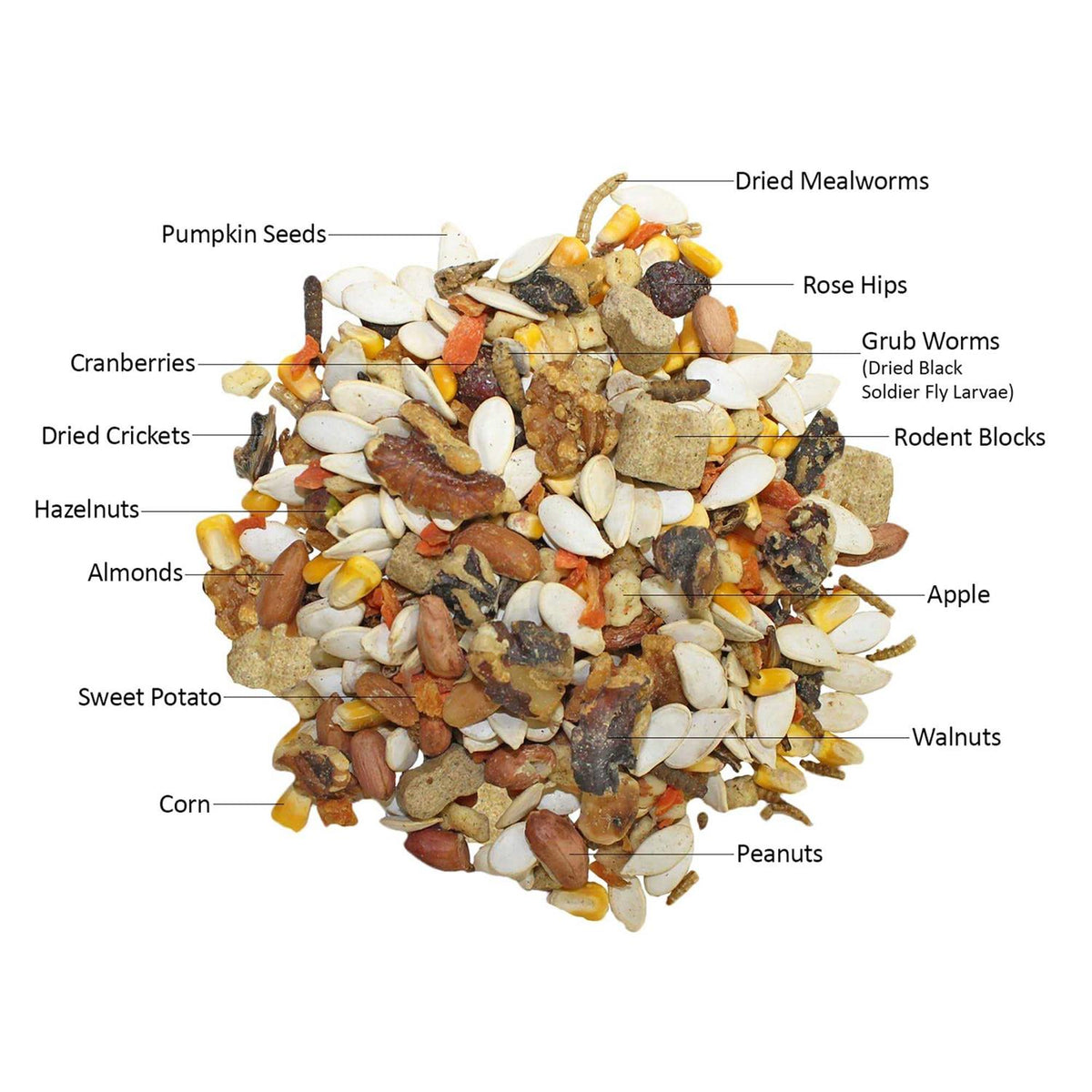 Squirrel Food Starter Package I57442