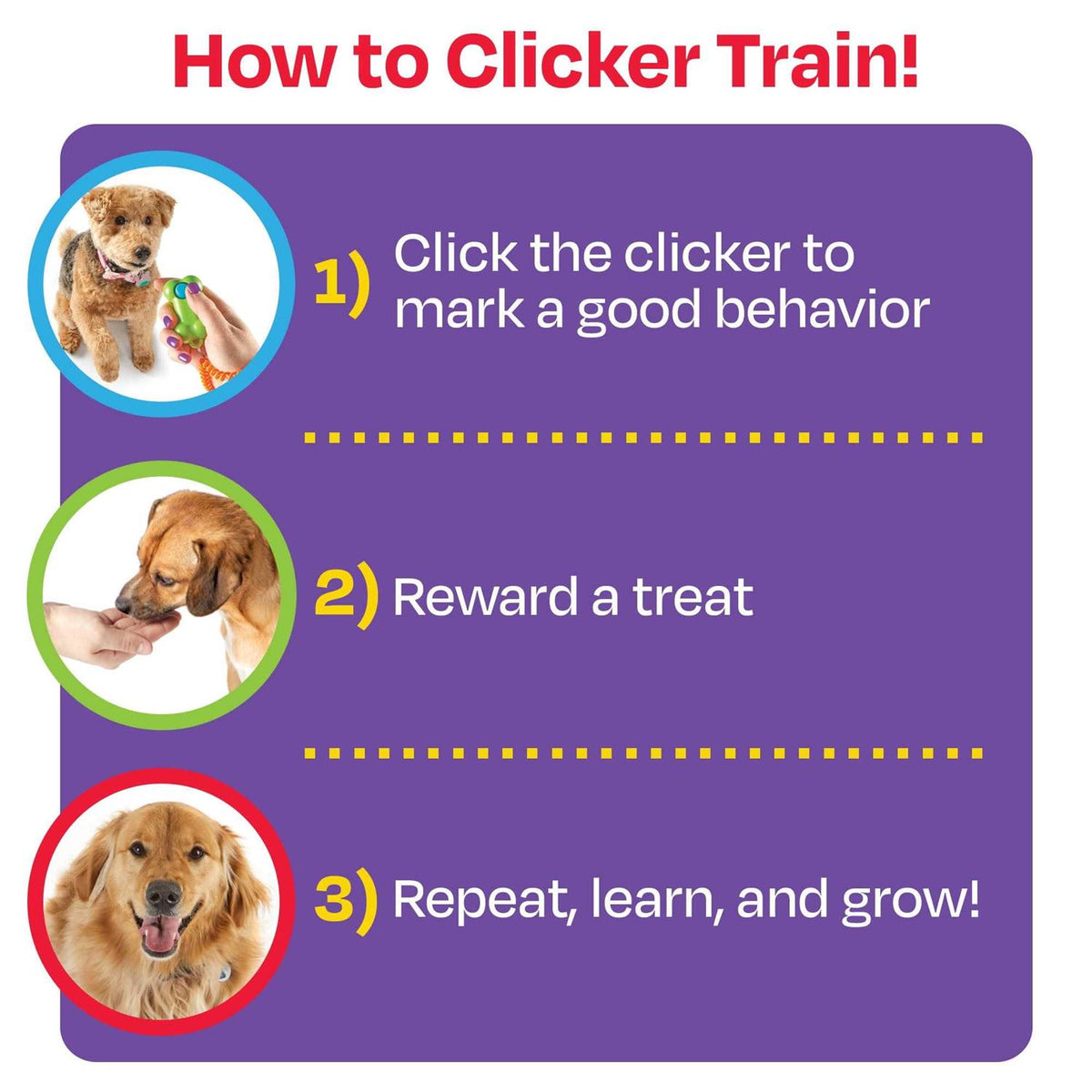 Training Clicker F84704