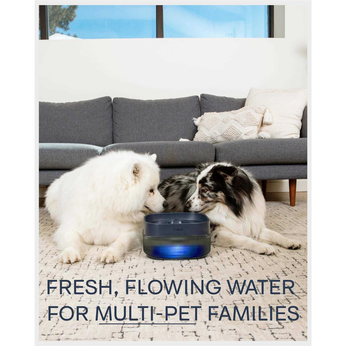 4L Automatic Dog Water Fountain E977