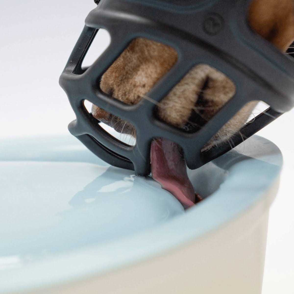 Dog Muzzle R109633