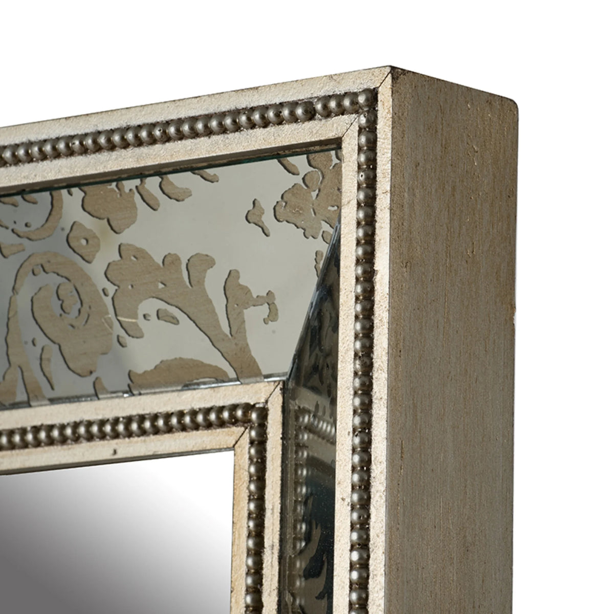 Antique Style Rectangular Floor Mirror Gold S6467