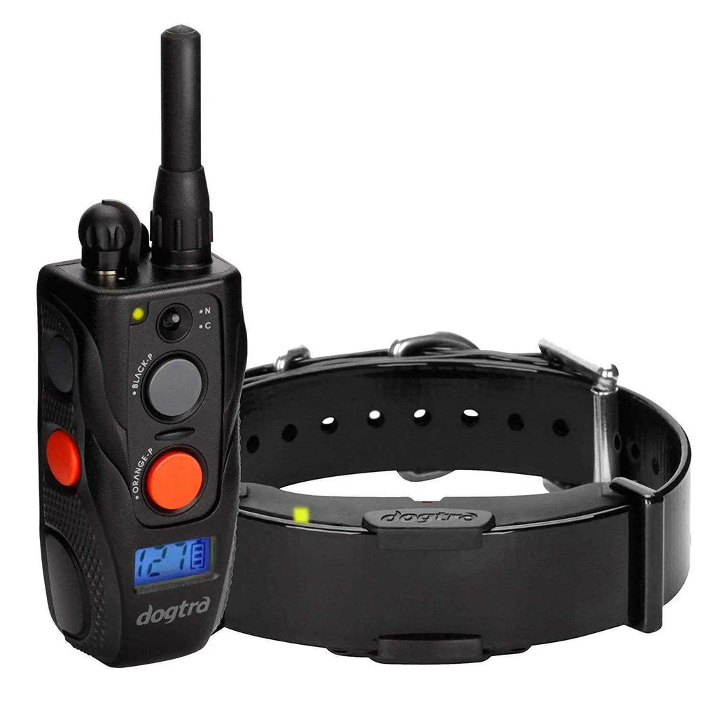 Remote Training Collar L85175