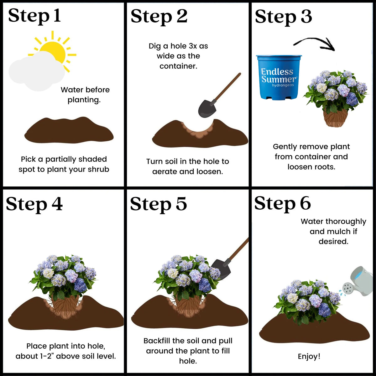 Hydrangea Live Shrub 2 Gallon Y8292