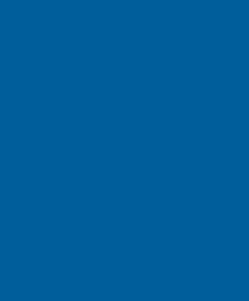 Brightside Polyurethane Paint Largo Blue Quart A76545