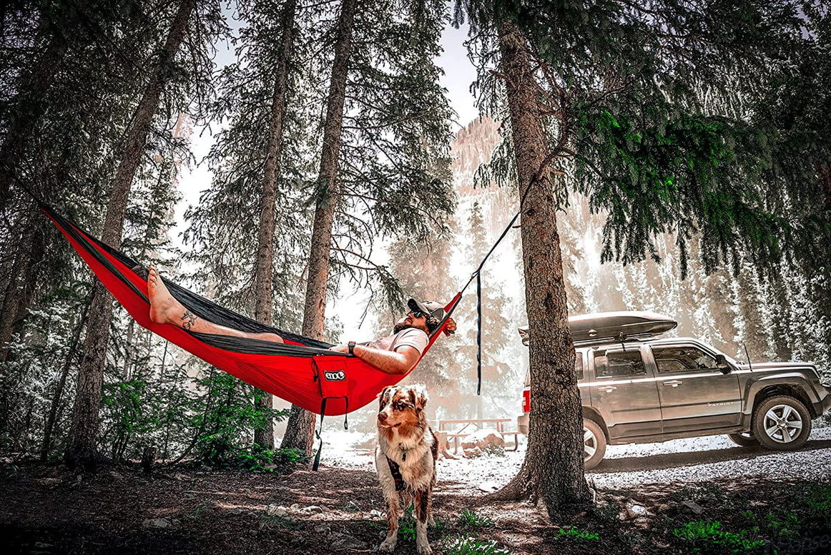 DoubleNest Hammock T730