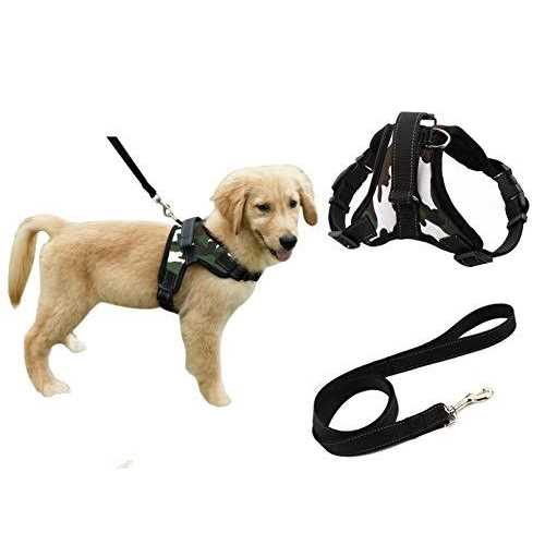 Adjustable Reflective No-Pull Padded Dog Harness with Leash Set K475