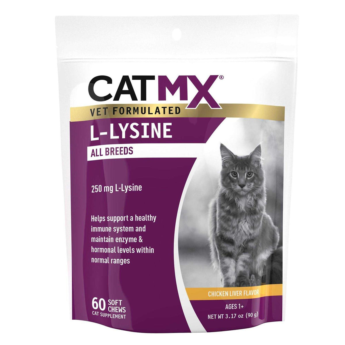 L-Lysine 60 Soft Chews I5095